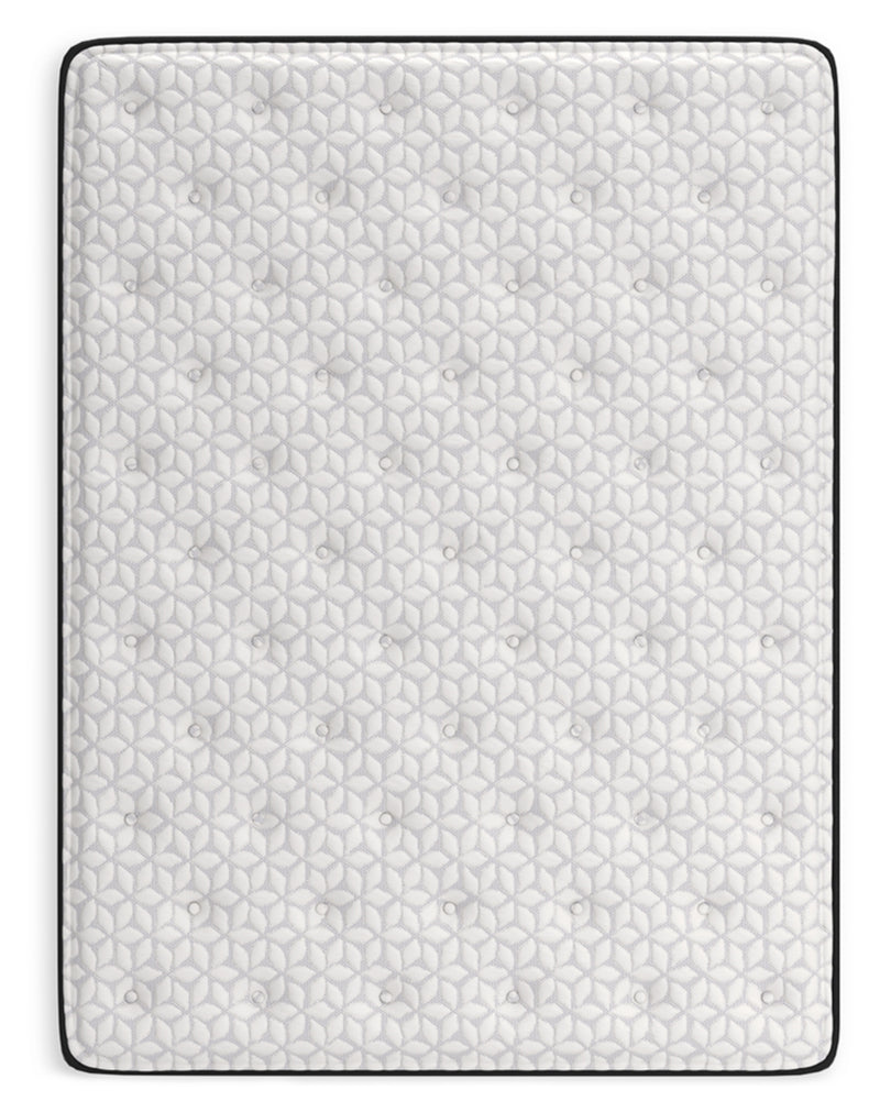 Limited Edition PlushMattress