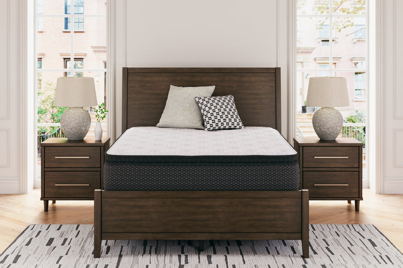 Limited Edition PTMattress